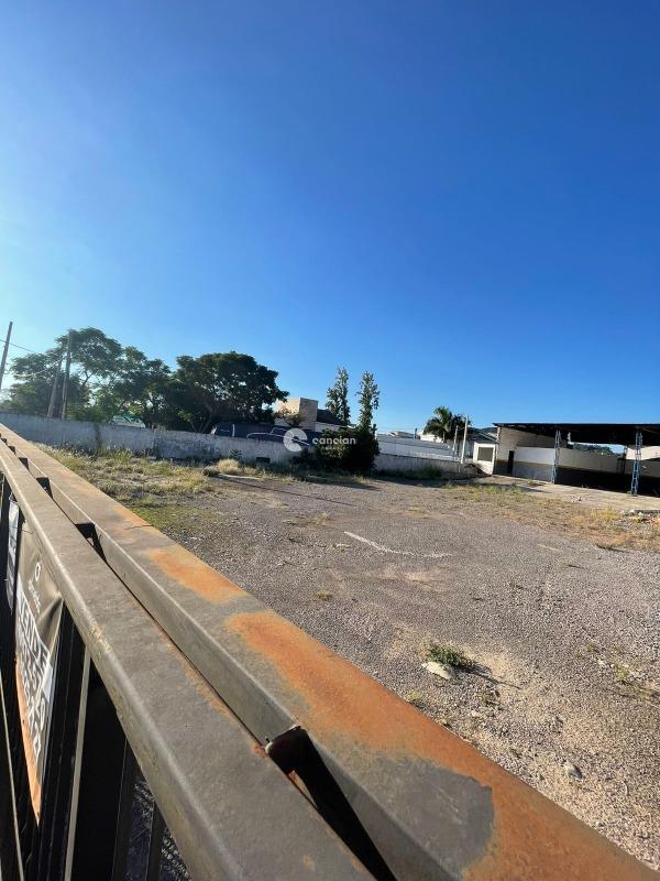 Terreno à venda no Tomazetti: 