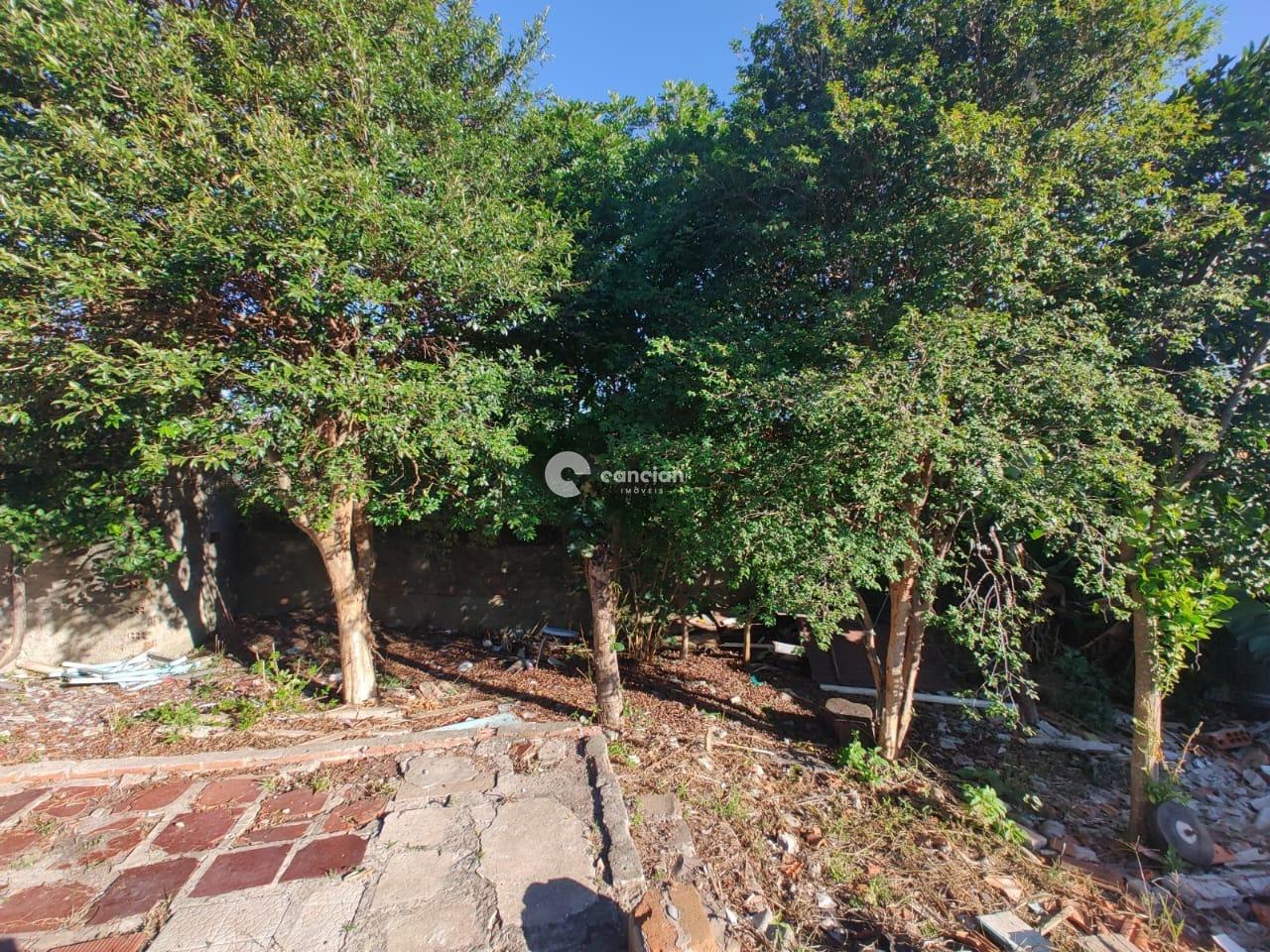 Casa à venda no Salgado Filho: