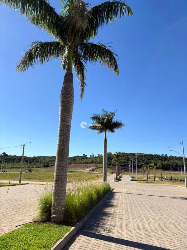 Terreno em condomínio à venda no Parque Serrano I: Via de entrada