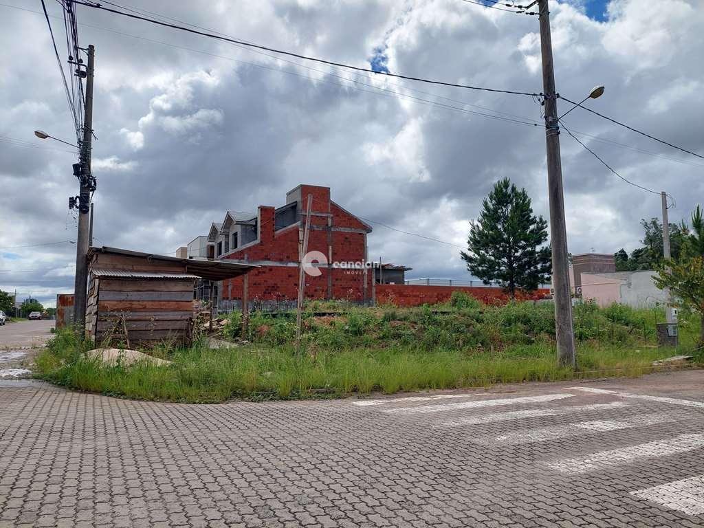Terreno à venda no São José: 