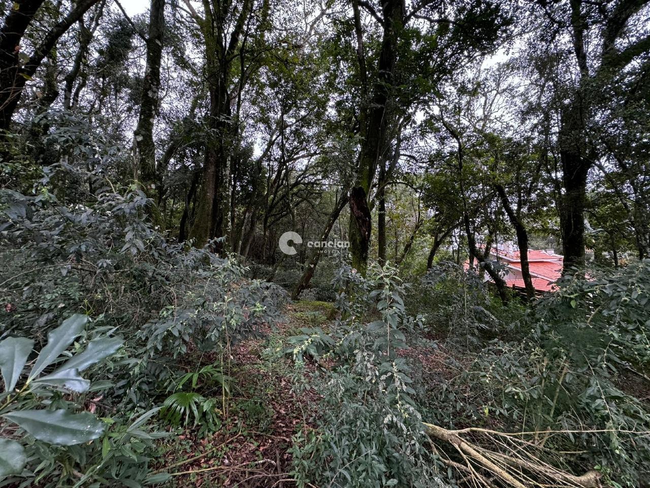 Terreno à venda no Cerrito: