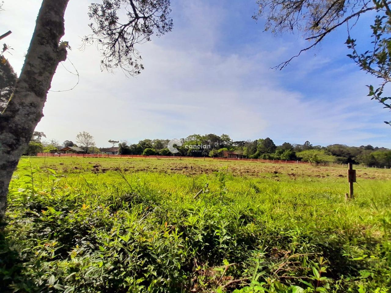 Terreno à venda no Parque Pinhal: