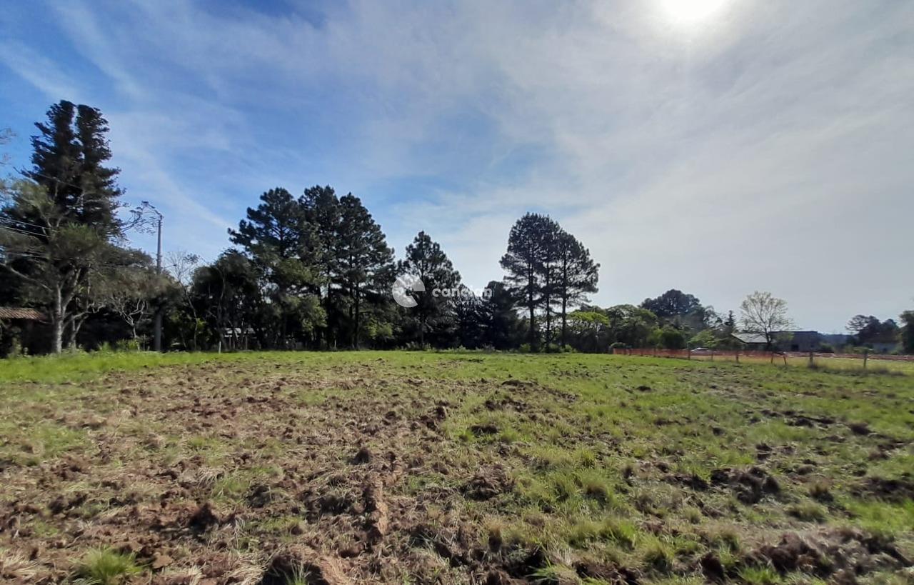 Terreno à venda no Parque Pinhal: