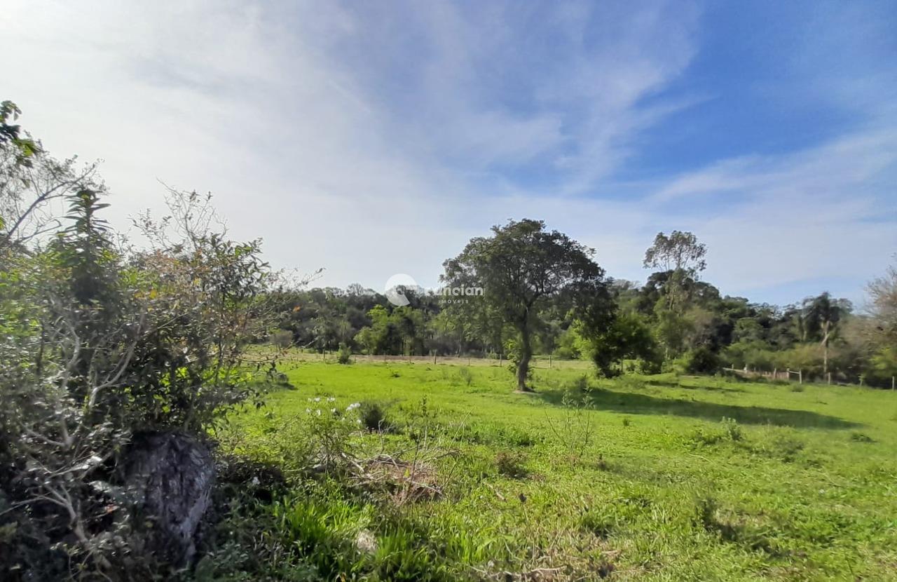 Terreno à venda no Parque Pinhal: 