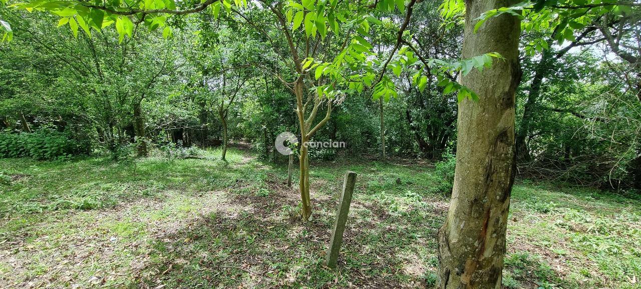 Terreno à venda no Diácono João Luiz Pozzobon: 