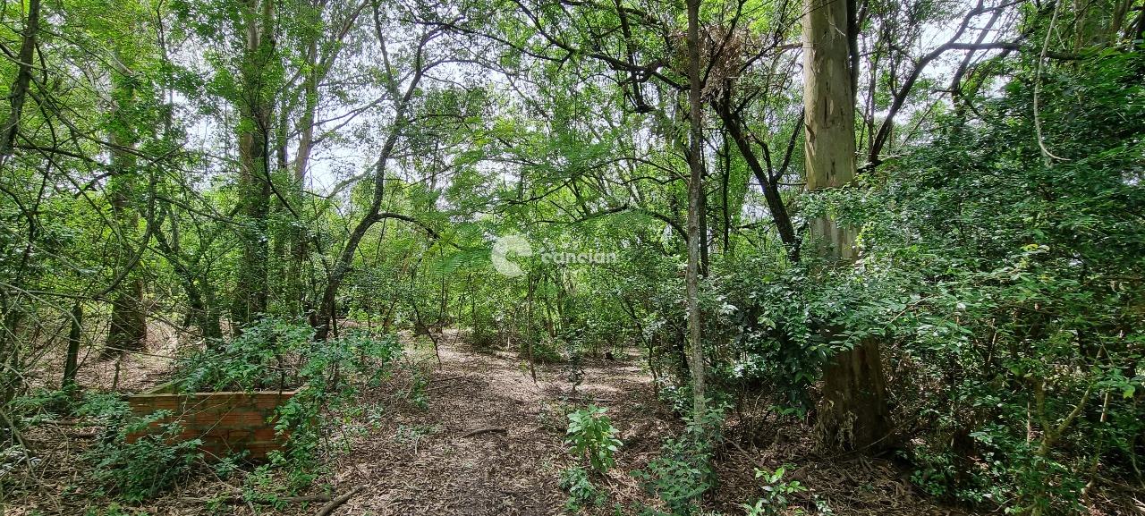 Terreno à venda no Diácono João Luiz Pozzobon: 