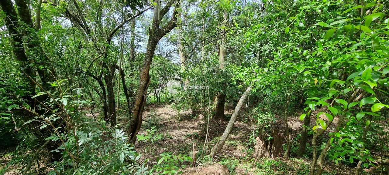 Terreno à venda no Diácono João Luiz Pozzobon: 