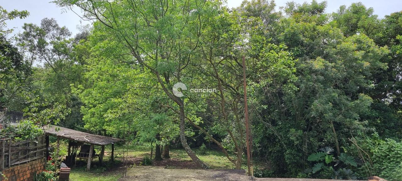 Terreno à venda no Diácono João Luiz Pozzobon: 