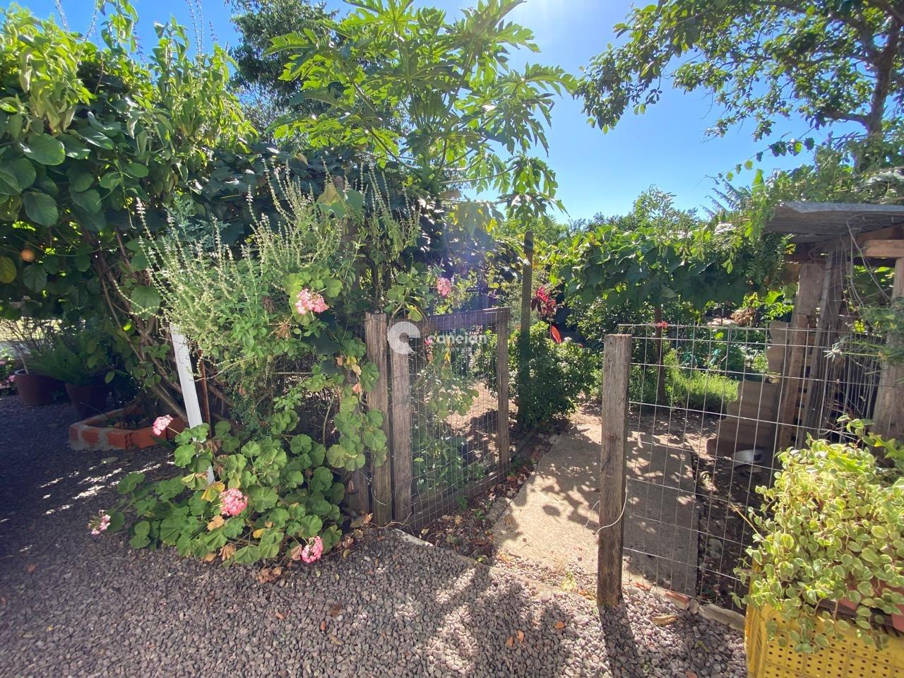 Casa à venda no Pinheiro Machado: