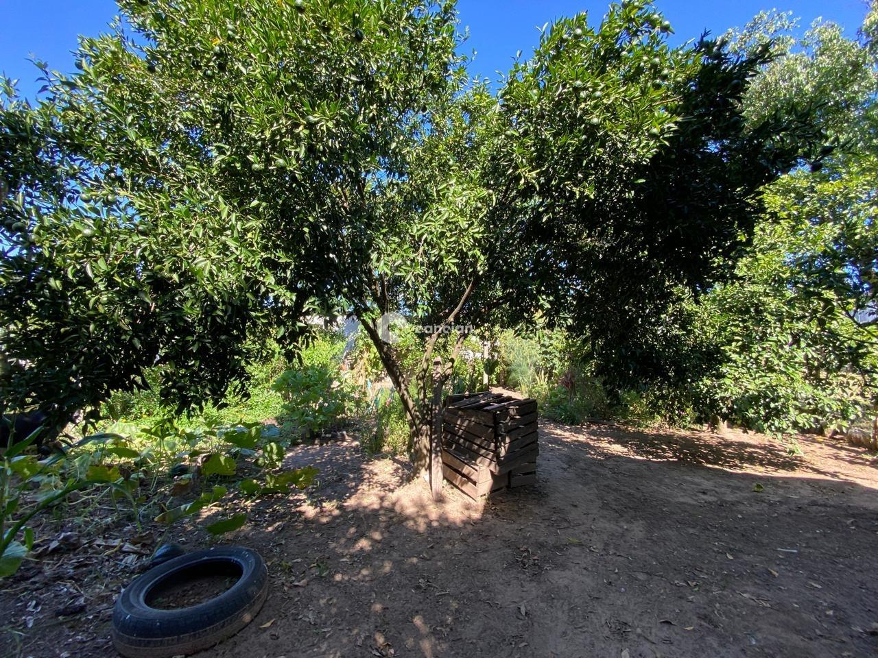 Casa à venda no Pinheiro Machado: