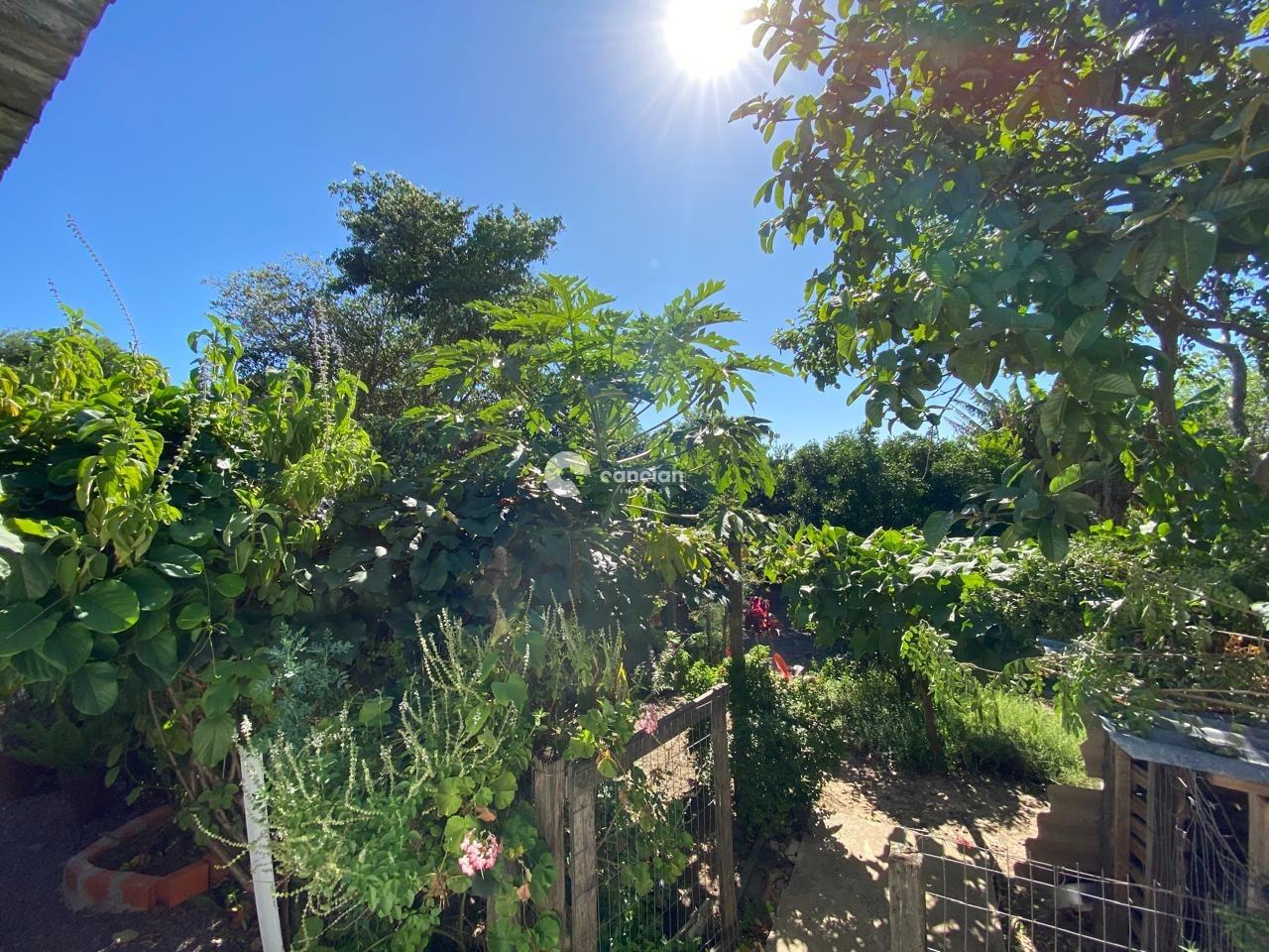 Casa à venda no Pinheiro Machado: