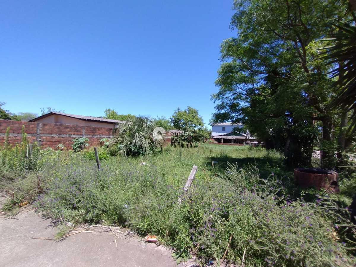 Terreno à venda no Tomazetti: 