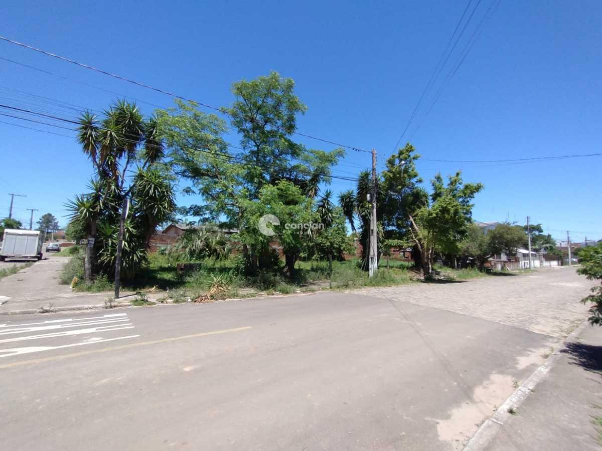 Terreno à venda no Tomazetti: 