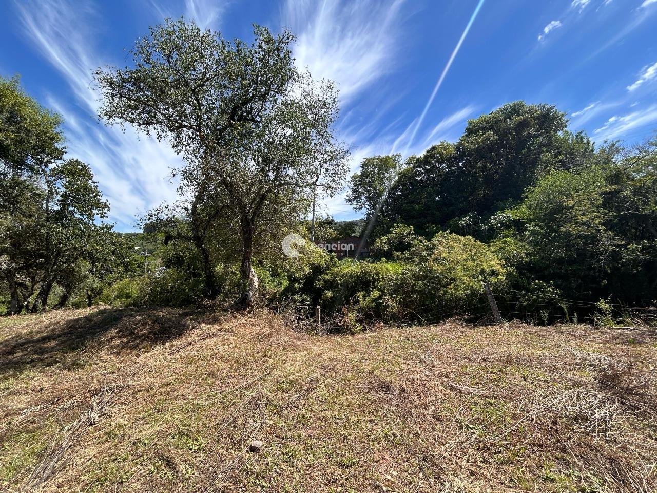 Terreno à venda no Campestre do Menino Deus:
