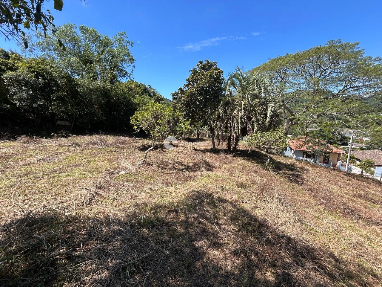 Terreno à venda no Campestre do Menino Deus: