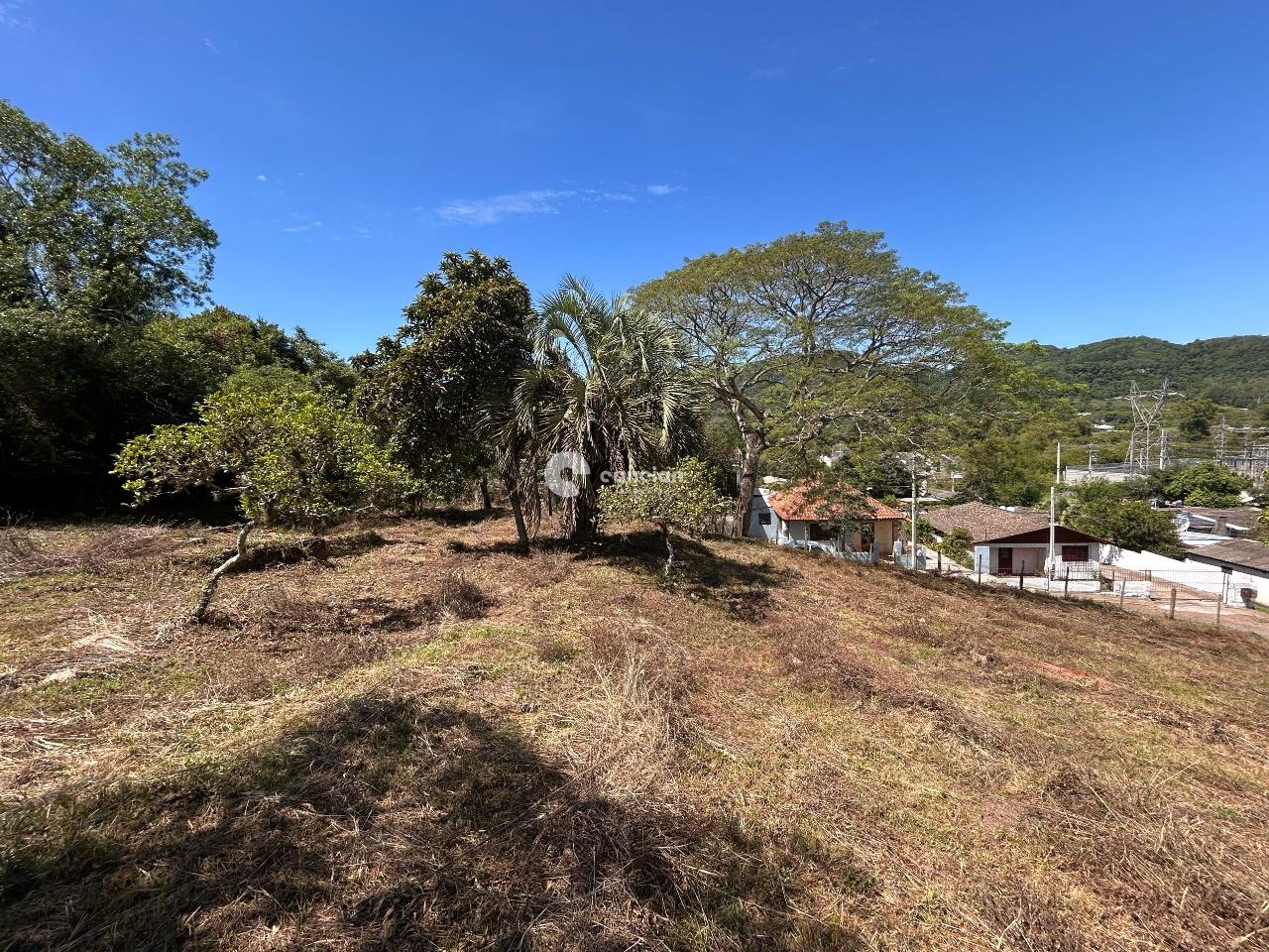 Terreno à venda no Campestre do Menino Deus: