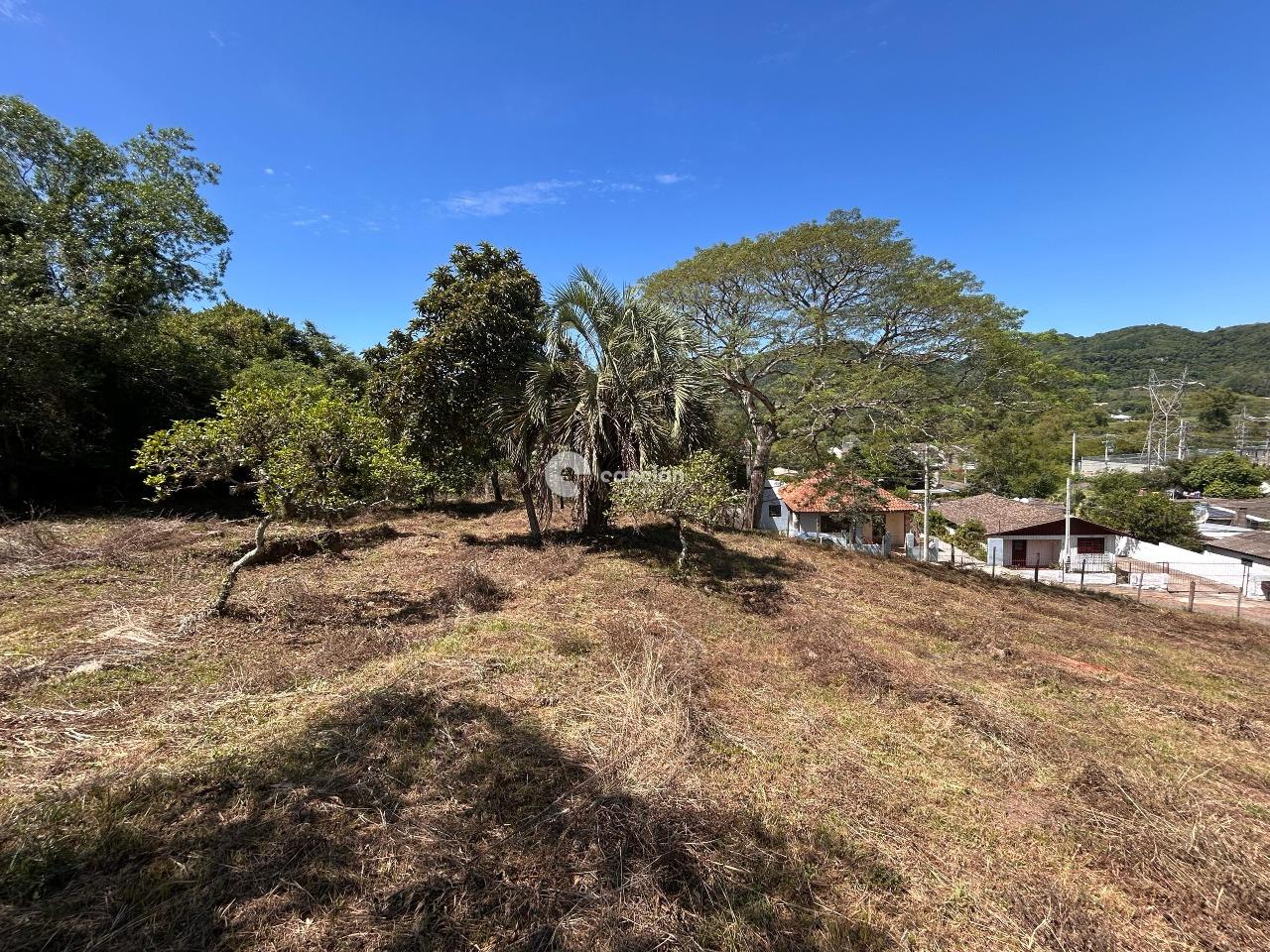Terreno à venda no Campestre do Menino Deus: