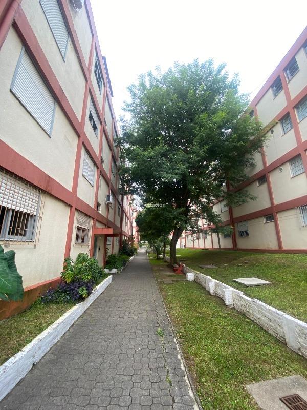 Apartamento à venda no Nossa Senhora de Lourdes: 