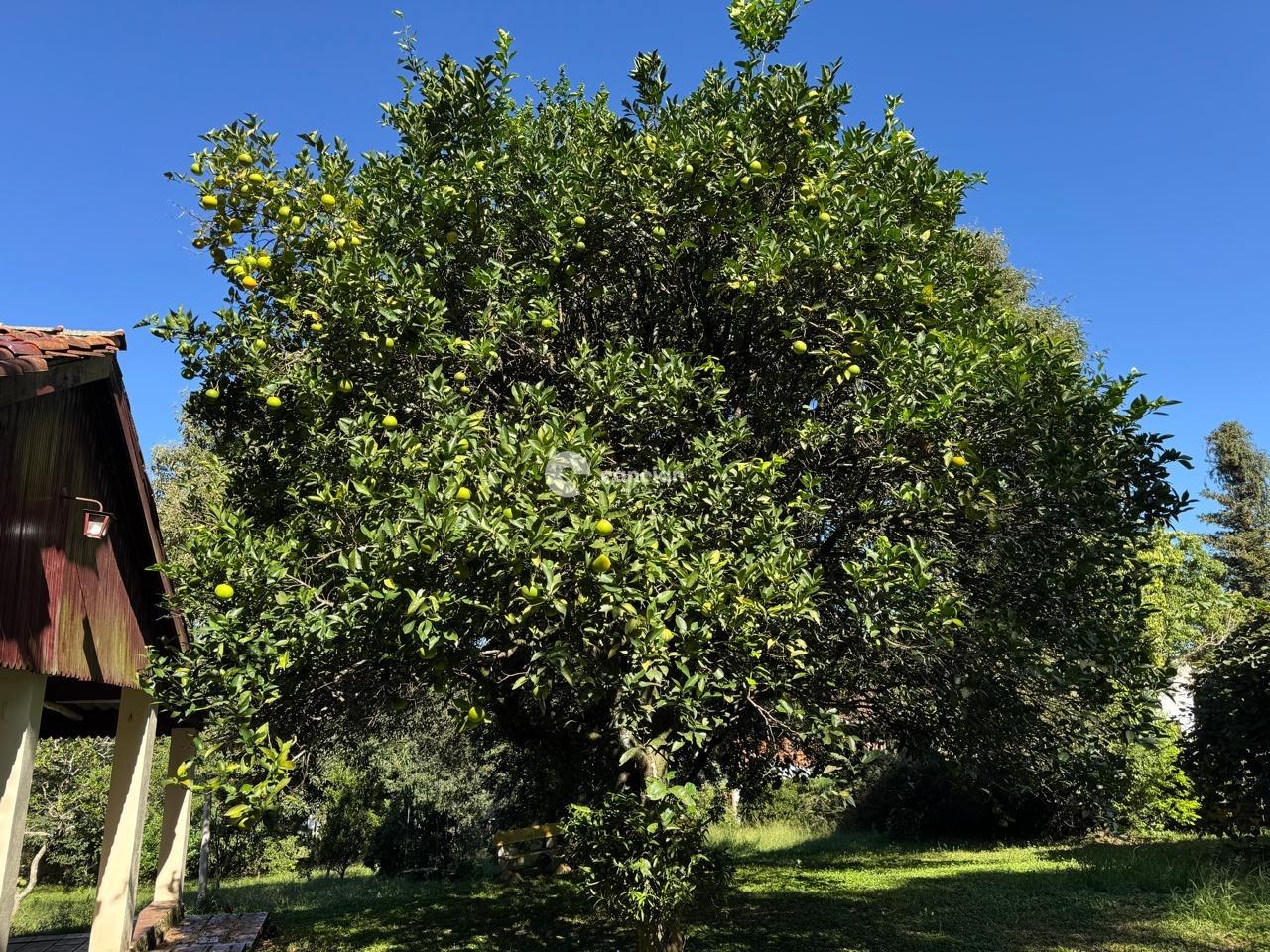 Casa à venda no Jardim Brasília: 