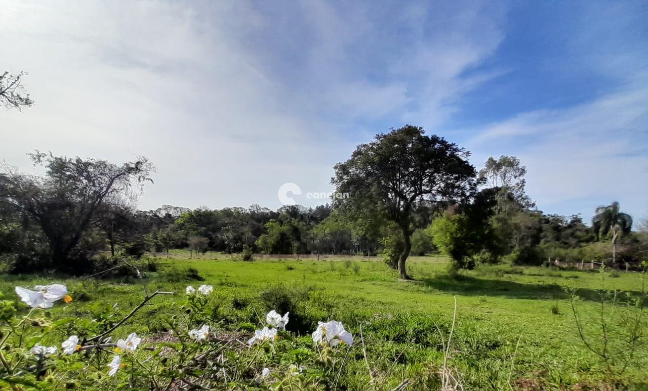Terreno à venda no Parque Pinhal: