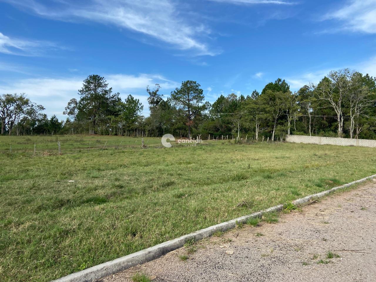 Terreno à venda no Tomazetti: 