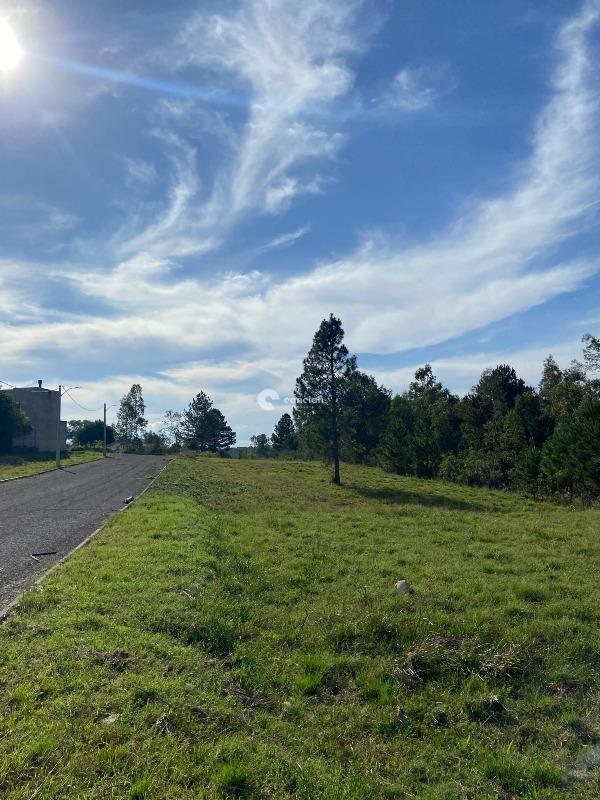 Casa à venda no Tomazetti: