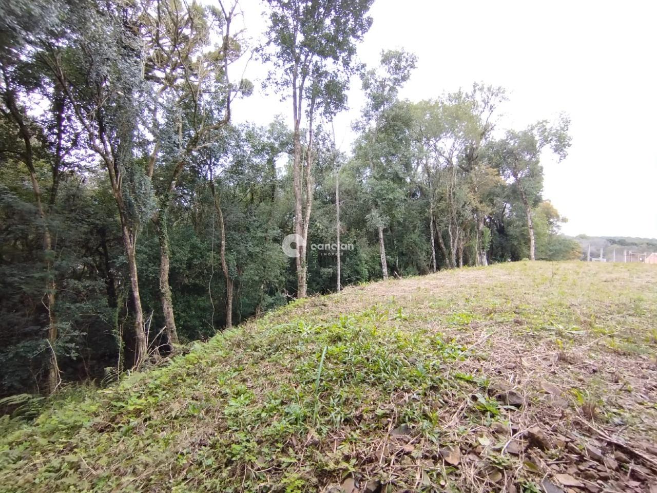 Terreno à venda no Centro: 