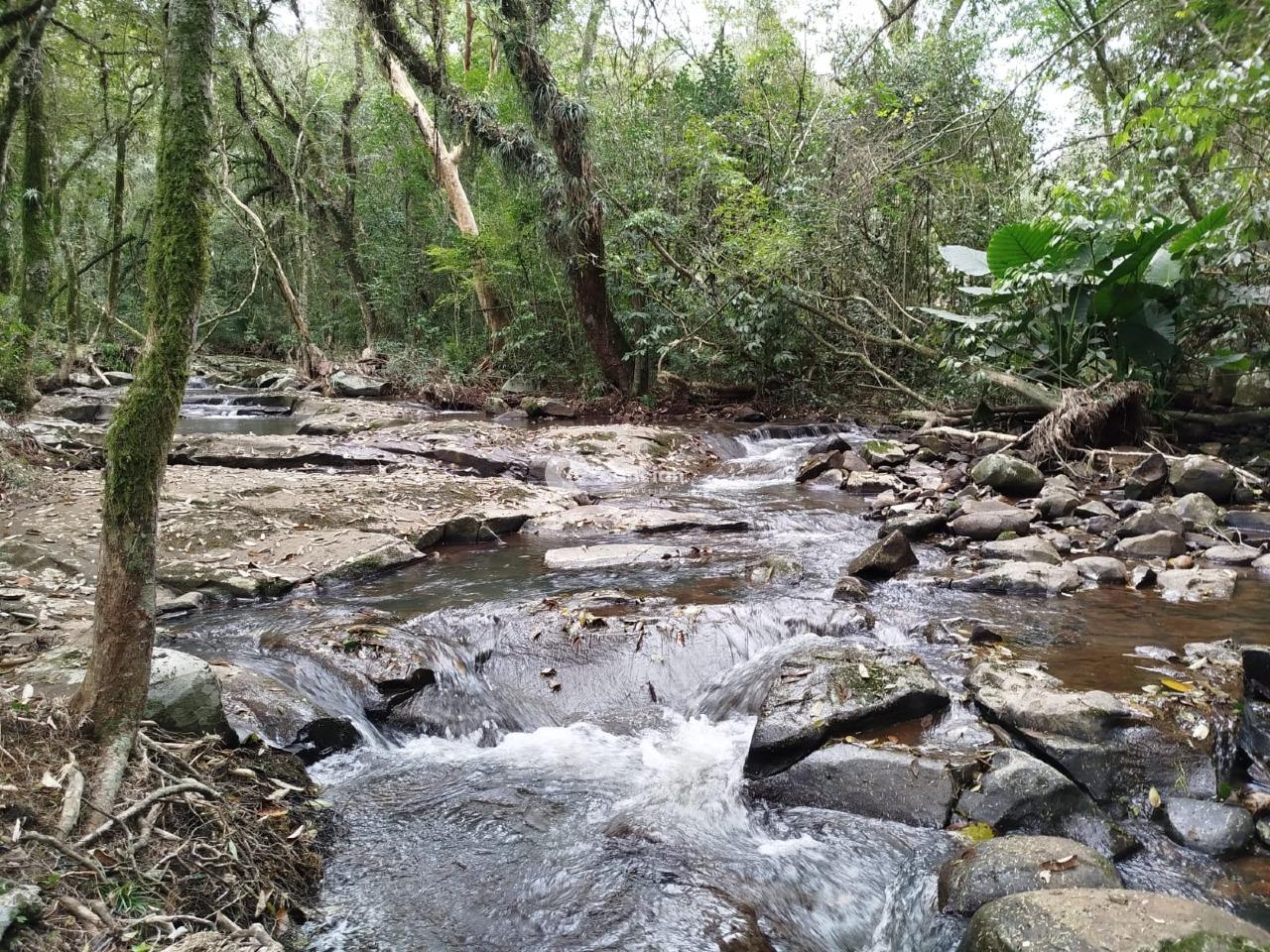 Terreno à venda no Centro: 