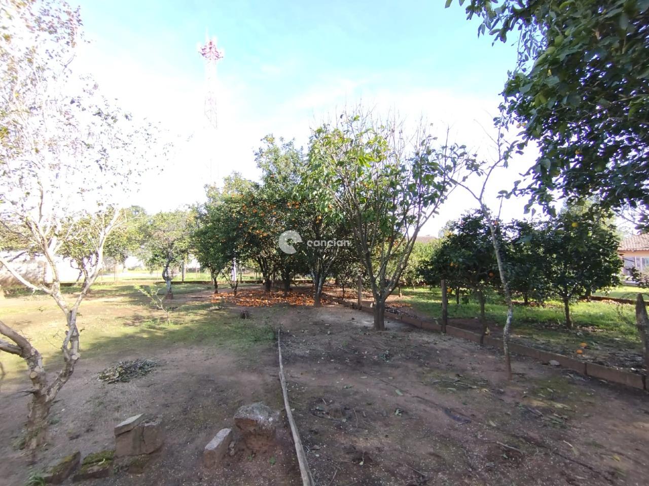 Terreno à venda no Boca do Monte: 