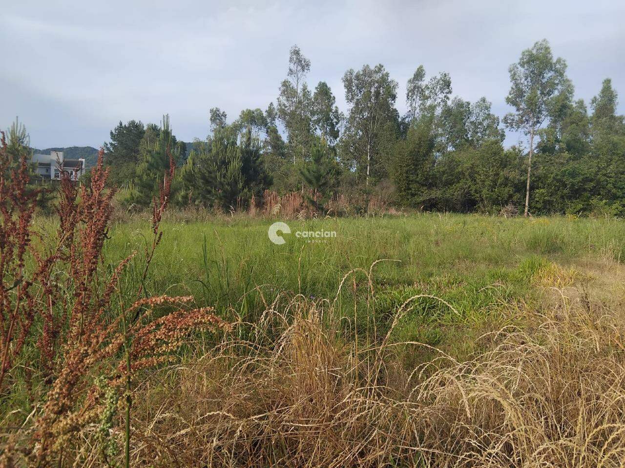 Terreno à venda no Pé de Plátano: 