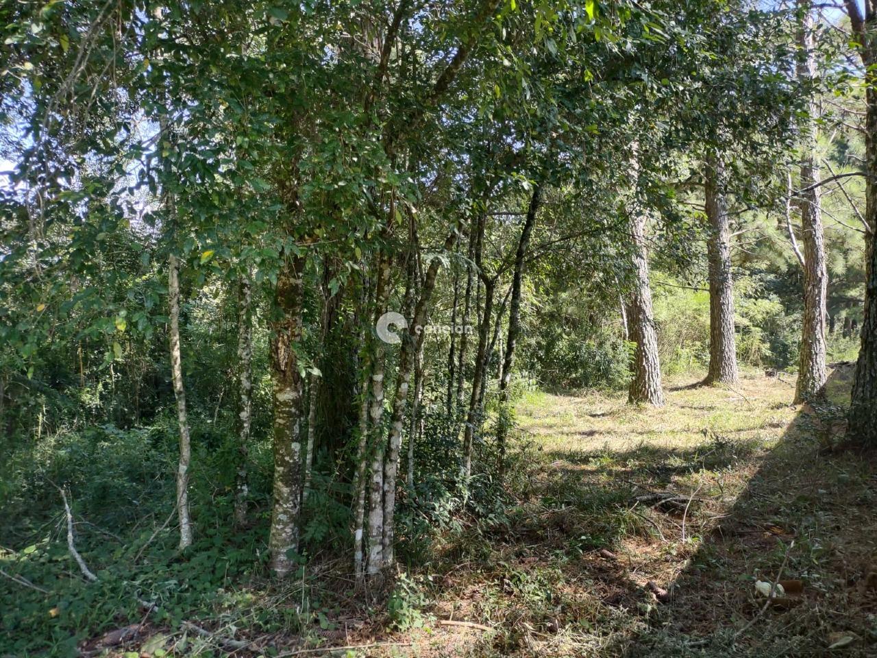 Terreno em condomínio à venda no Parque Serrano: 