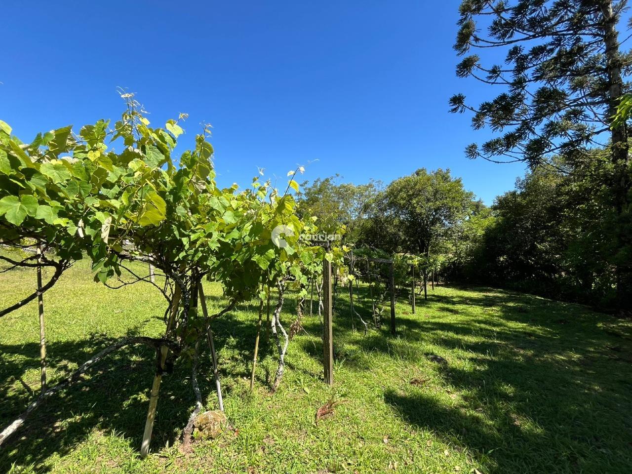 Casa à venda no Centro: 