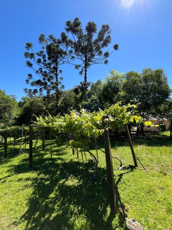 Casa à venda no Centro: 