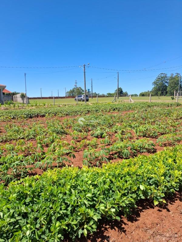 Terreno à venda no Zona rural: 