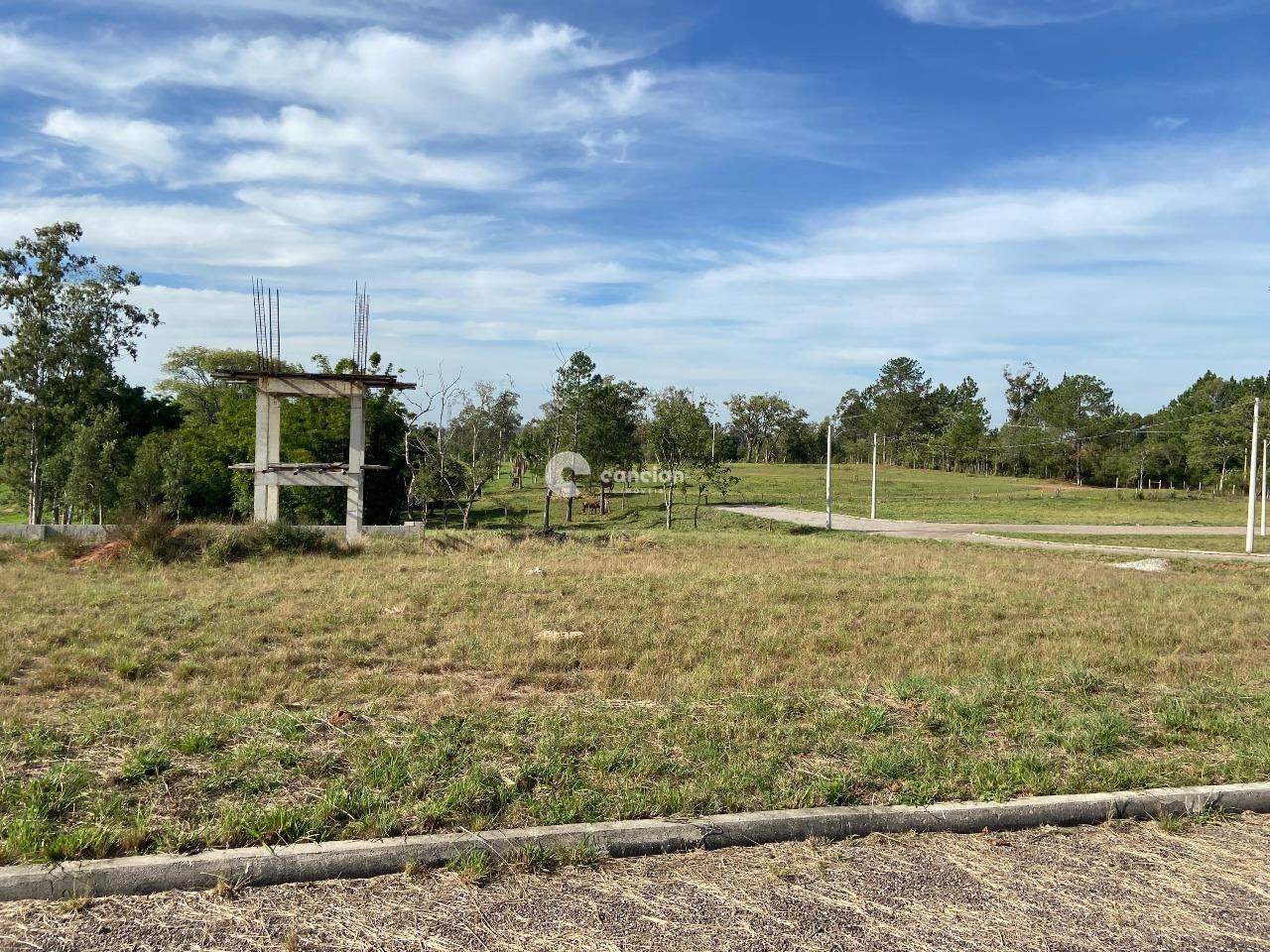 Terreno à venda no Tomazetti: 
