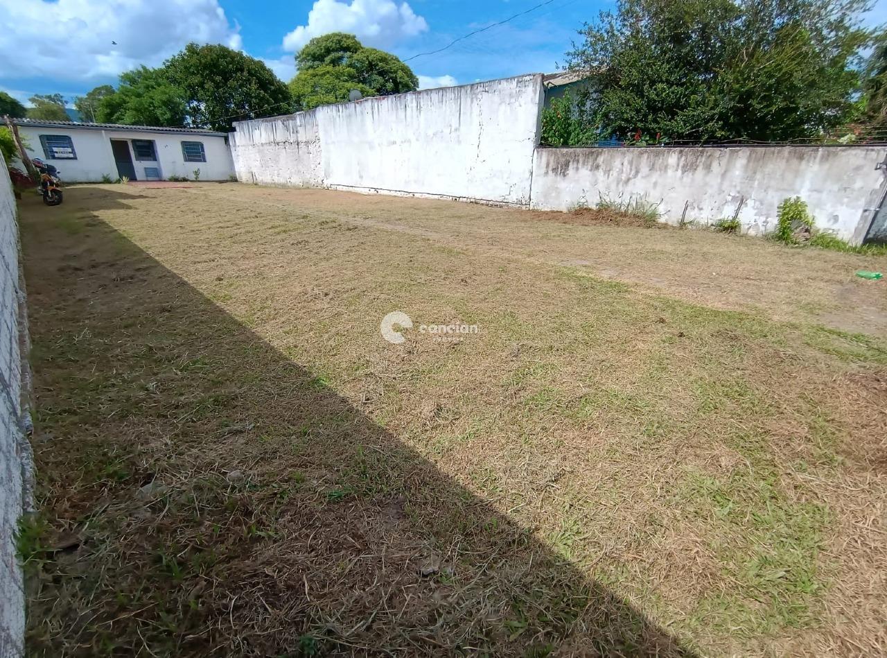 Terreno à venda no Patronato: 