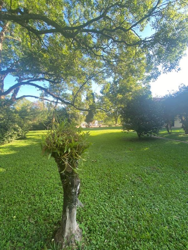 Chácara à venda no Arroio Grande: 