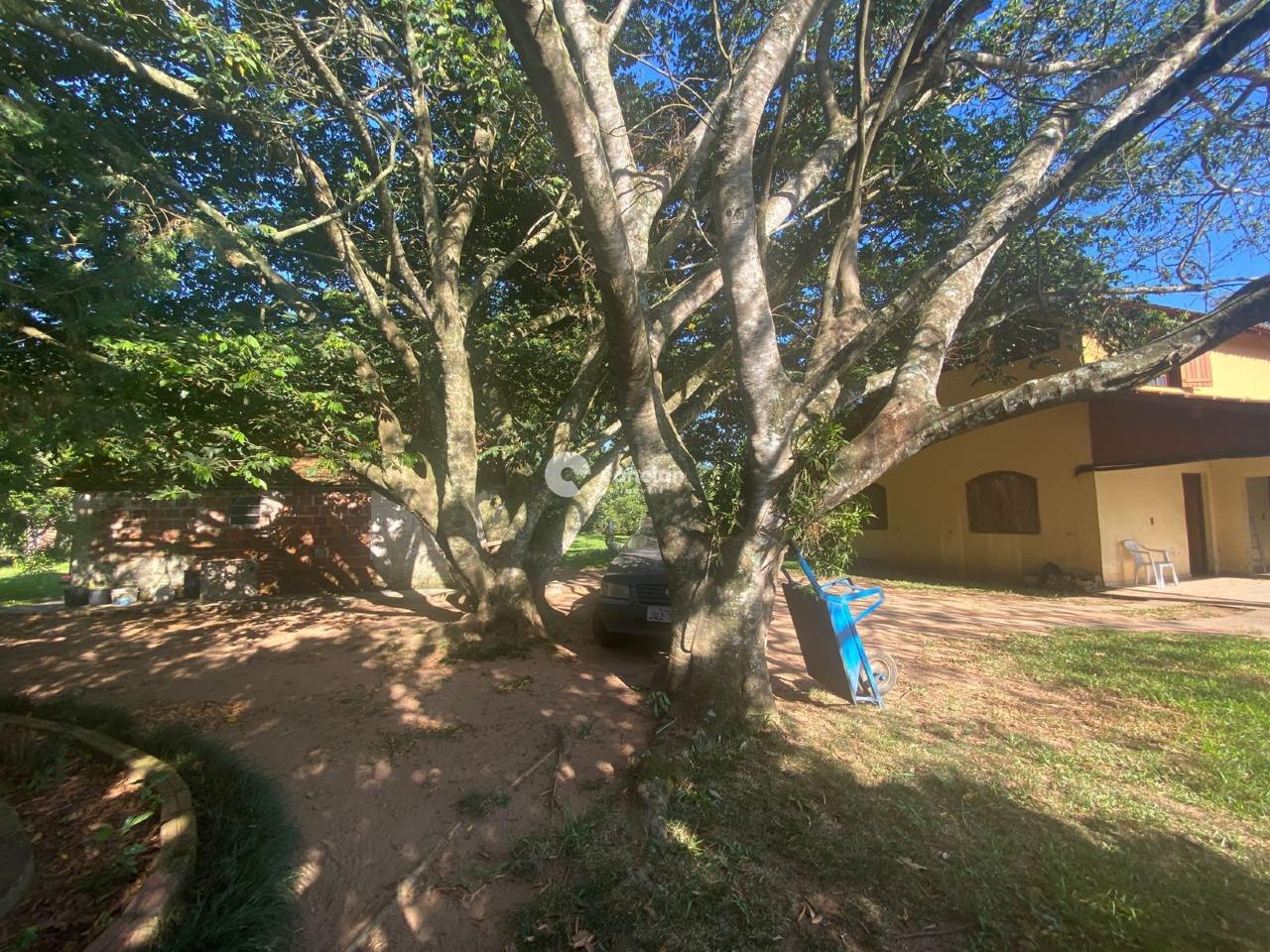 Chácara à venda no Arroio Grande: 