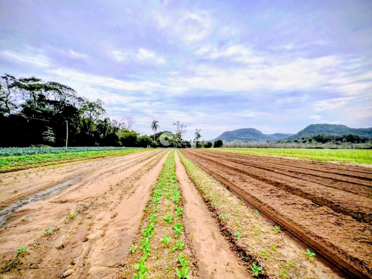 Área Rural à venda no Arroio Grande: 