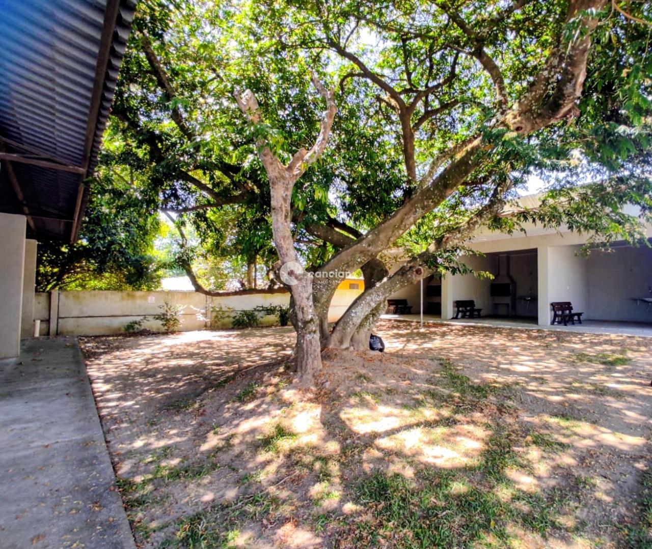 Apartamento à venda no Patronato: 