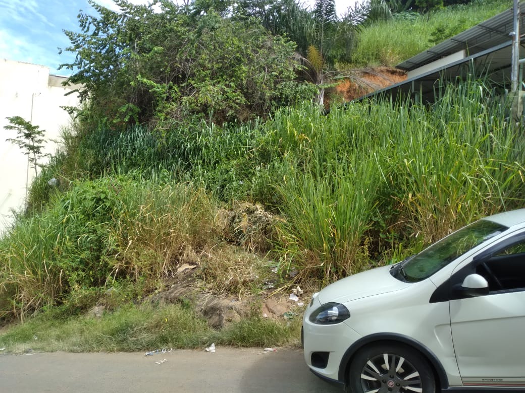 Lote à venda no SANTA ZITA: 