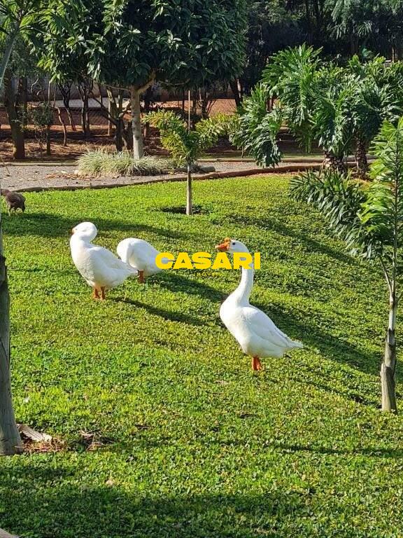 Terreno para à venda no bairro Torninos, São Bernardo do Campo - Casari Imóveis: 