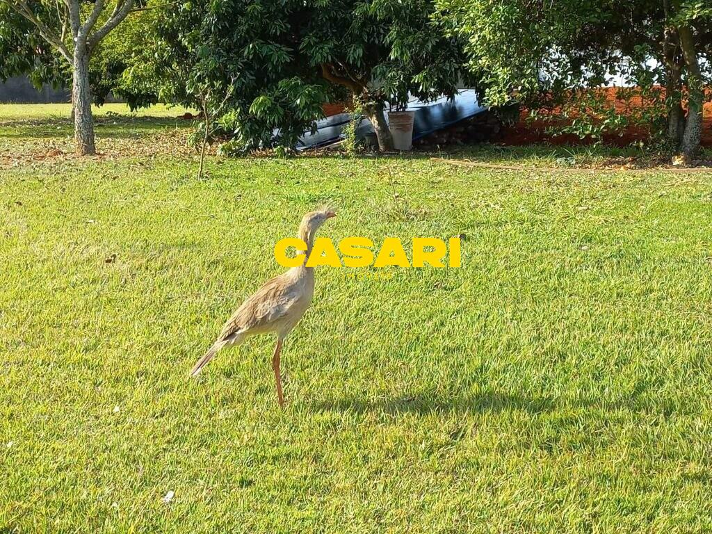 Terreno para à venda no bairro Torninos, São Bernardo do Campo - Casari Imóveis: 