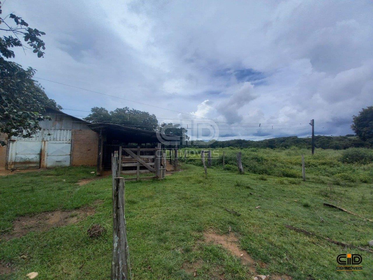 Fazenda-Sítio-Chácara, 1233 hectares - Foto 3
