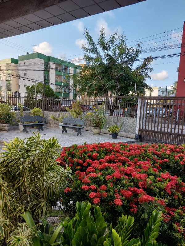 Apartamento 3 quartos ( ) para à venda em Várzea - Recife - Edifício Rio Araguaia - CTI imobiliaria: Jardim 