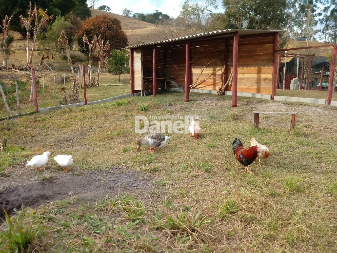 Sítio à venda no Turvo : 