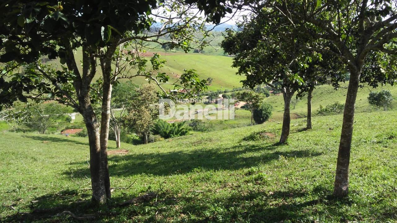 Sítio à venda no Turvo : 