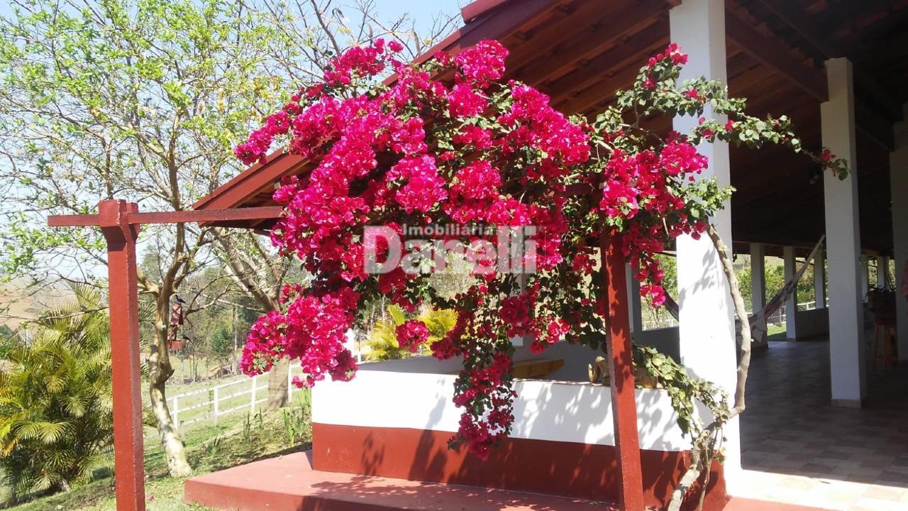 Sítio à venda no Turvo : 