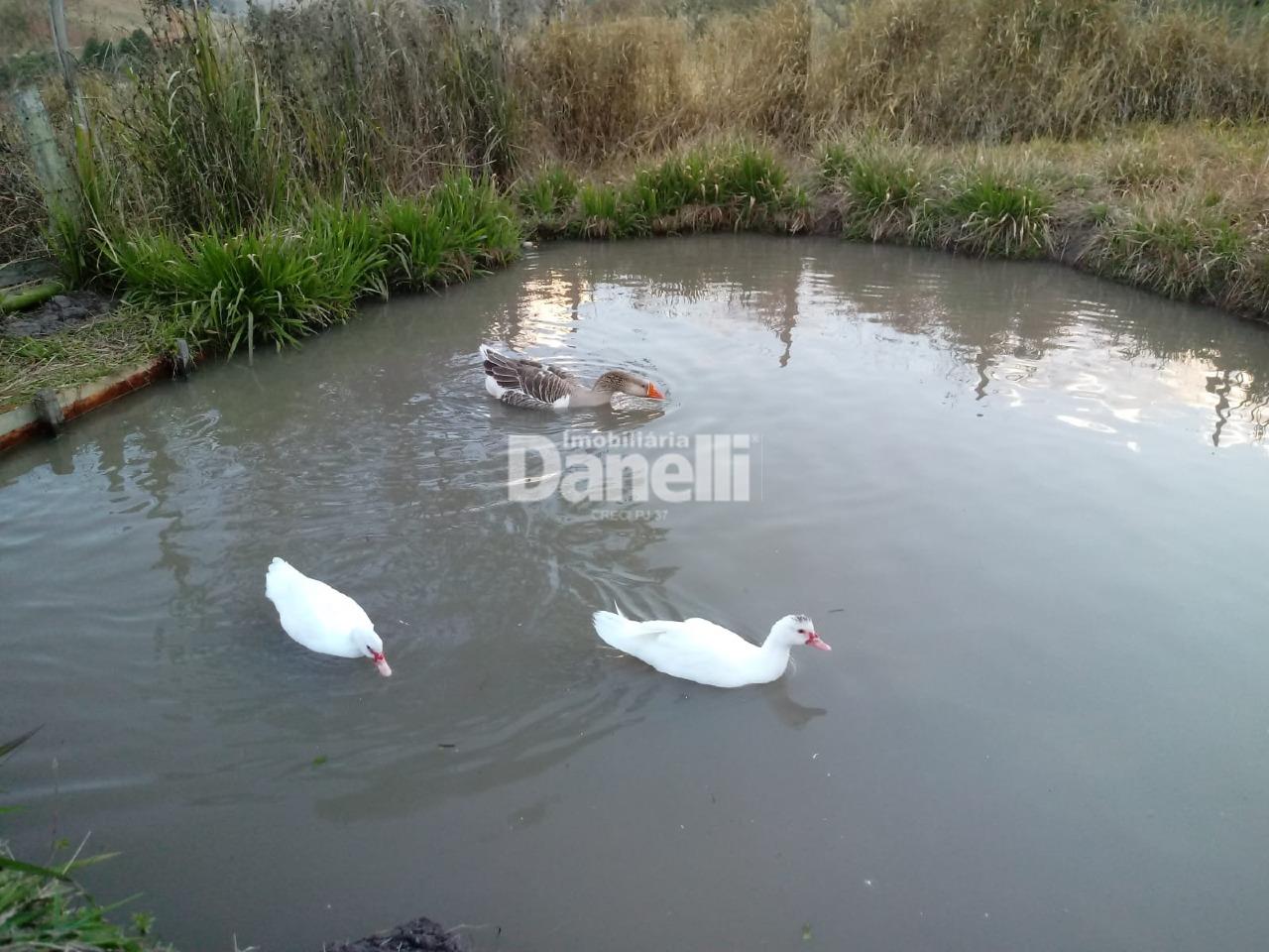 Sítio à venda no Turvo : 