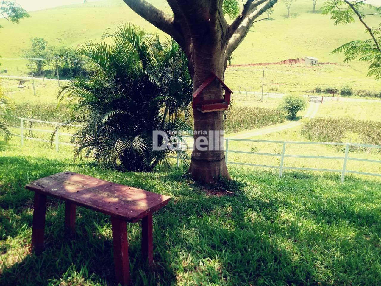 Sítio à venda no Turvo : 